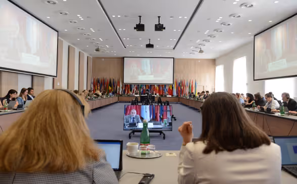 una conferenza sulla prevenzione della tortura