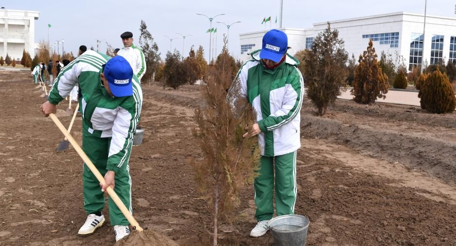 Des hommes plantent des arbres.